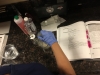 Pharmacy Technician
